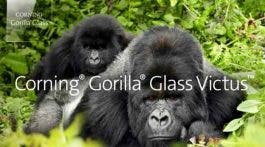 Gorilla Glass Victus