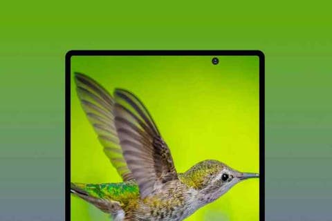 Samsung Galaxy Fold 2