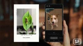 One UI 8 Watermark